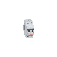 LEGRAND Модульний автоматичний вимикач RX3 2p 63A ТипC 4,5 кА [6 шт/уп.]