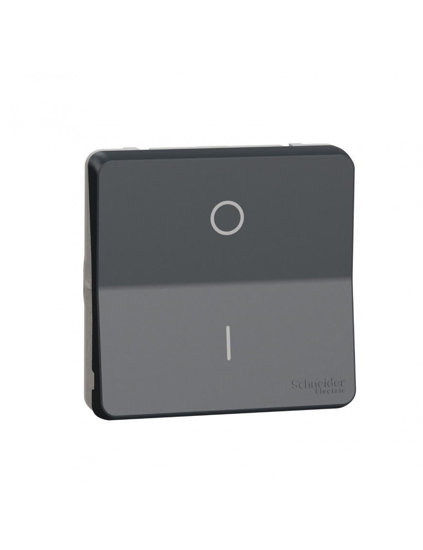 Механізм перемикача двохполюсний IP55, чорний, Mureva Styl Schneider Electric MUR35034 Механізм перемикача двохполюсний IP55, чорний, Mureva Styl Schneider Electric MUR35034