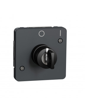 Механізм вимикача з ключем на 2 положення IP55, чорний, Mureva Styl Schneider Electric MUR35062