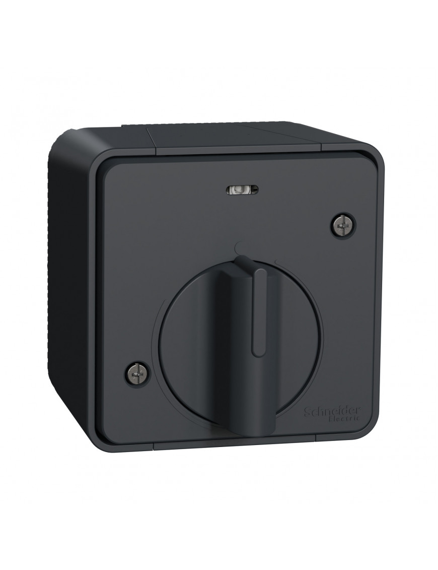 Вимикач з таймером IP55, для поверхневого монтажу, чорний, Mureva Styl Schneider Electric MUR35067