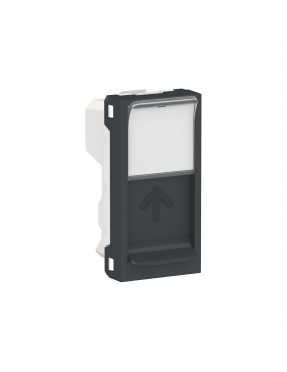 Центральна плата RJ45Keystone/Systimax 1 модуль антрацит